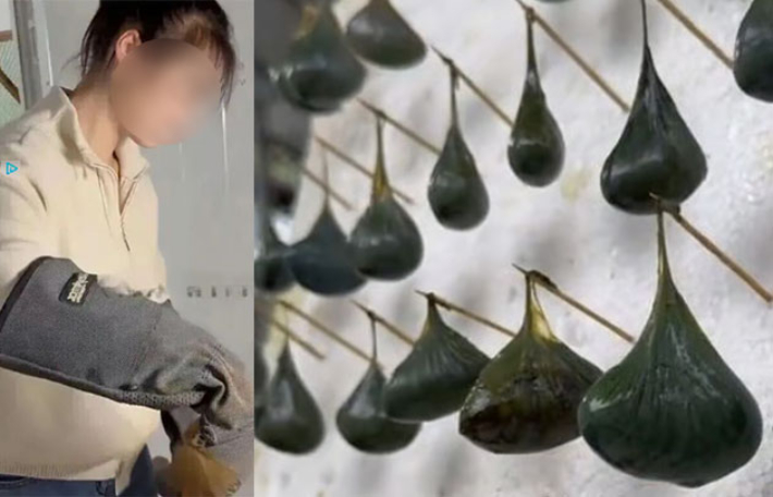 수천 마리의 독성 파충류 일부가 자루에 담긴 채 매달려 있다. 홍콩 'SCMP' 캡처