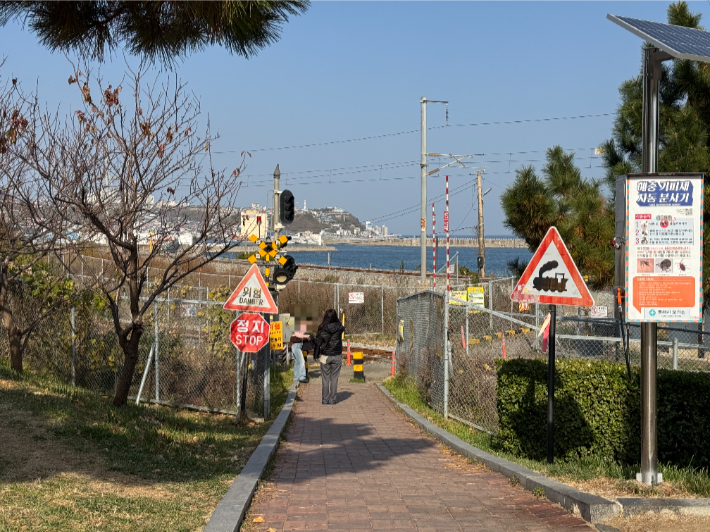 동해 하평해변 철도건널목. 동해시 제공