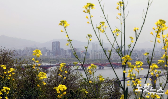 봄철 고농도 황사 유입