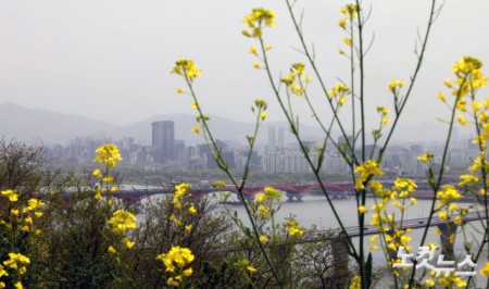 봄철 고농도 황사 유입
