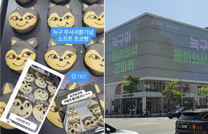(왼쪽부터)하레하레에서 출시한 '늑구빵'·18일 대전 둔산동 한 건물 전광판에 "늑구야 돌아와서 고마워"라고 표시돼 있다. 하레하레 공식 인스타그램 캡처·연합뉴스