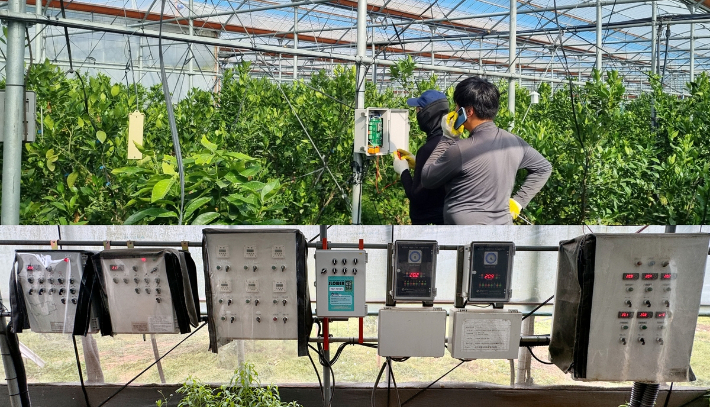 스마트농업(해당 기사와 직접적 관련 없음). 연합뉴스