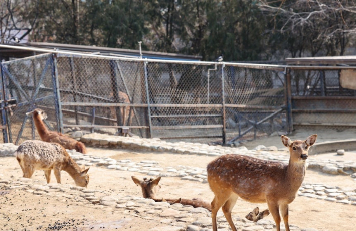 위 사진은 기사와 무관함. 연합뉴스