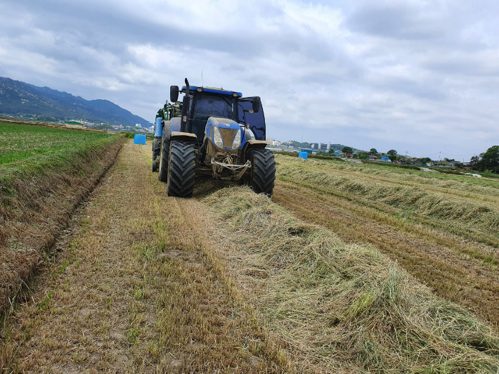 조사료 생산. 전라남도 제공