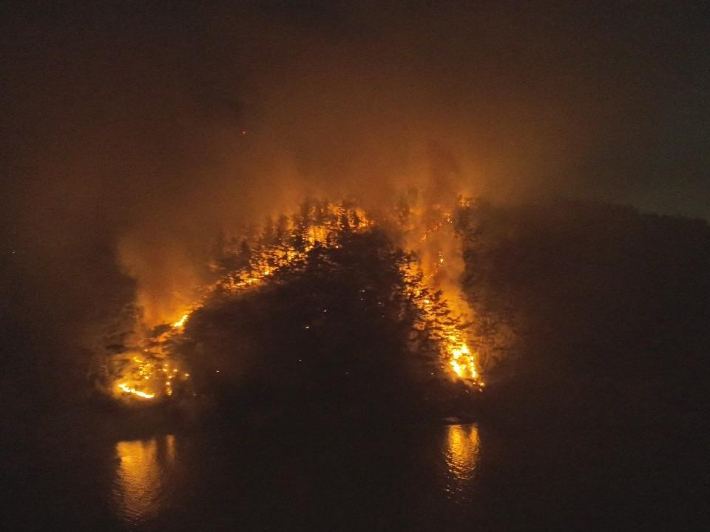 산불 모습. 서산소방서 제공