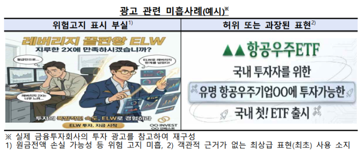 금융감독원 제공