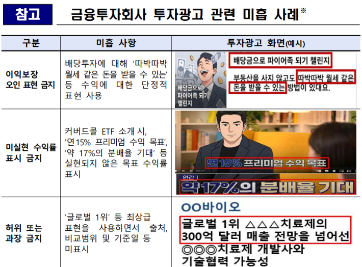 금융감독원 제공