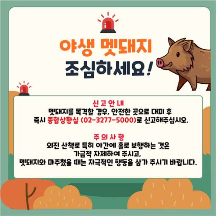 이화여대 캠퍼스 '교내 멧돼지 출몰 주의 안내' 공지. 이화여대 기숙사 홈페이지 캡처