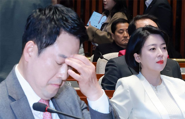 배현진, 장동혁 향해 "집 안에서 행패 부리는 무능한 가장"