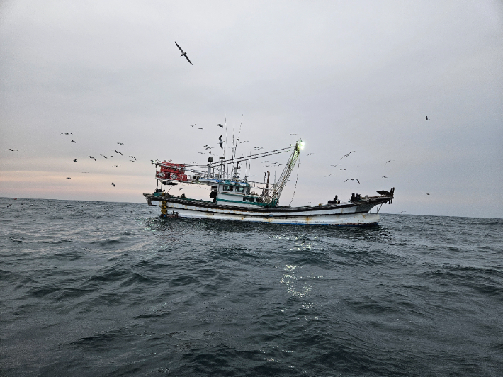 적발된 어선. 전북 군산해양경찰서 제공