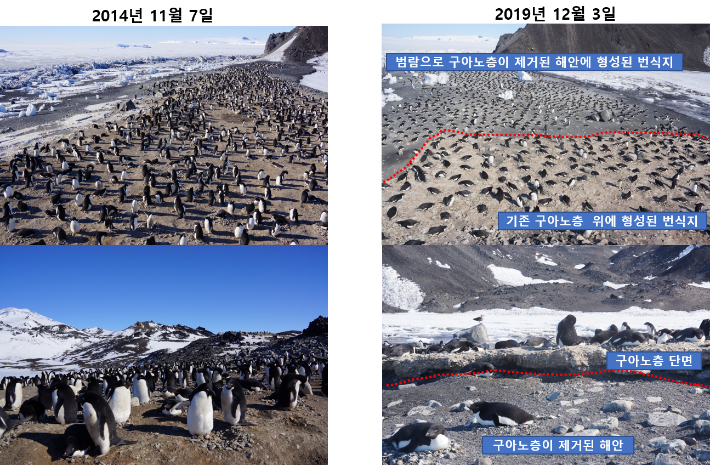 극지연구소 제공