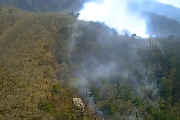 24일 오후 2시 3분쯤 강원 인제군 북면 용대리에서 산불이 나 1시간 40여분 만에 꺼졌다. 강원도산불방지센터 제공 