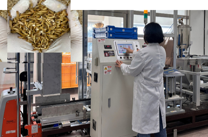 곤충 활용 연구-갈색거저리 대량사육 시스템. 전남도농업기술원 제공