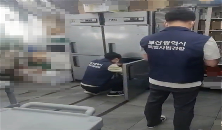 부산시 특별사법경찰과 직원들이 음식점 주방을 점검하고 있다. 부산시 제공