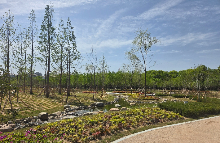 황성공원 북측 일대에 조성된 도시바람길숲 1단계 구간 전경. 산책로와 잔디광장, 수변공간 등이 어우러진 도심 녹지의 중심축이 만들어졌다. 경주시 제공