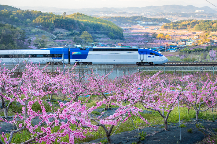 KTX 산천. 코레일 제공