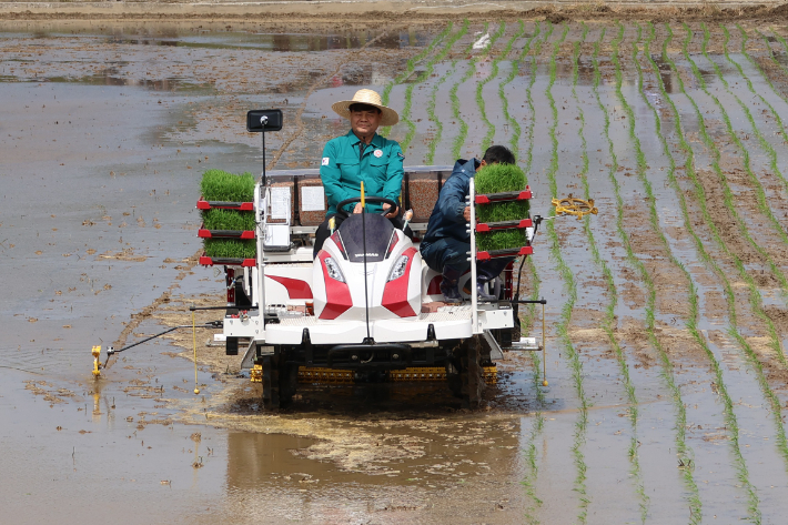27일 올해 첫 모내기에 참여한 심규언 동해시장. 동해시 제공