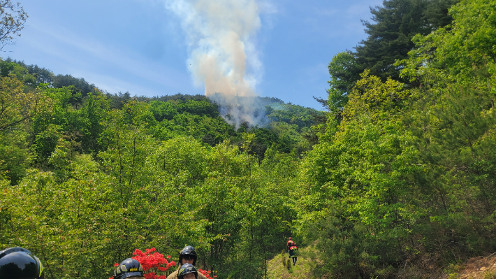 영동소방서 제공