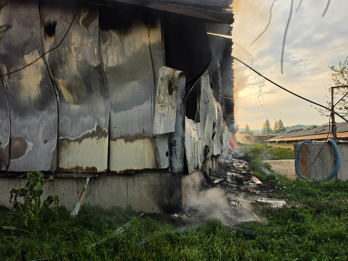 충북소방본부 제공