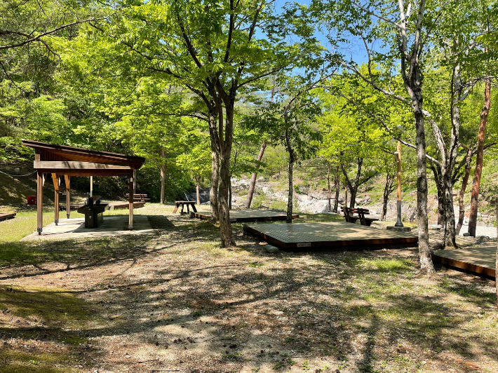 구수곡자연휴양림 야영장. 울진군 제공