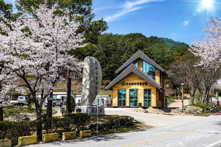 구수곡자연휴양림 야영장. 울진군 제공