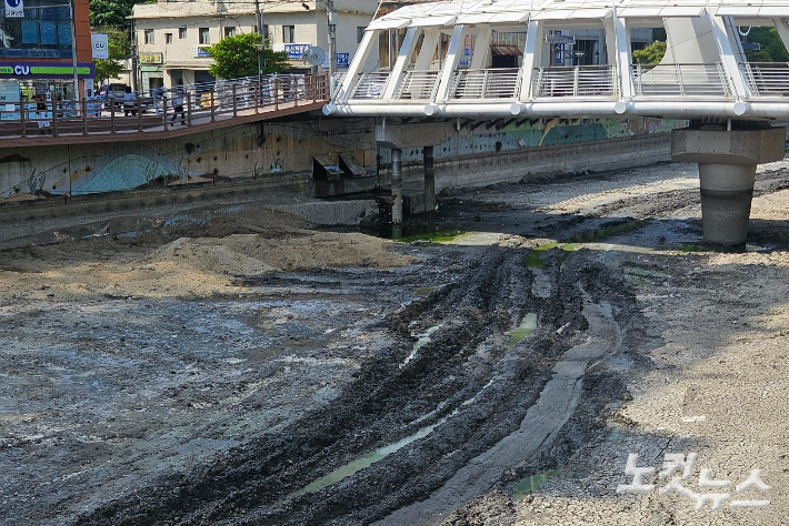 동천이 흐르는 다리 밑에 생활오수가 고여 악취가 발생하고 있다. 김혜민 기자 