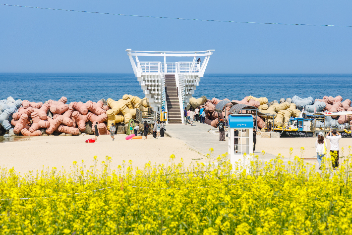 사근진 해변 멀티플 광장. 강릉시 제공