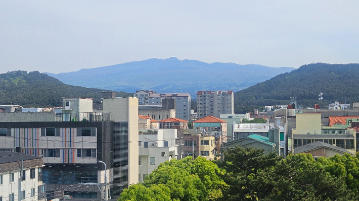 제주 주택가. 고상현 기자