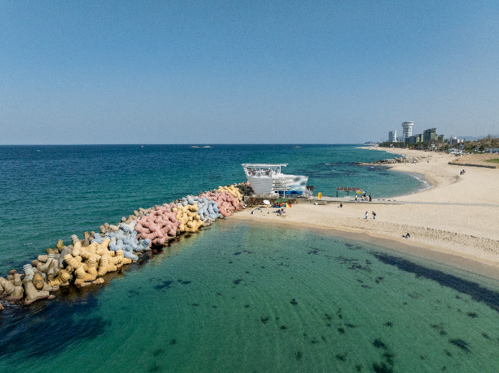 사근진 해변 멀티플 광장 전경. 강릉시 제공
