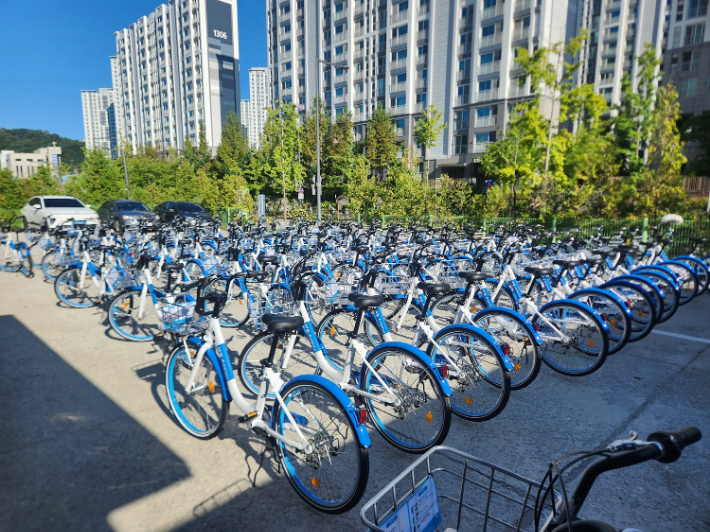 어울링. 세종시 제공