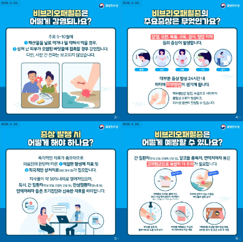 비브리오패혈증 카드뉴스. 전라남도 제공
