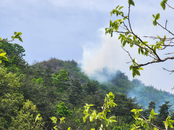 영동소방서 제공