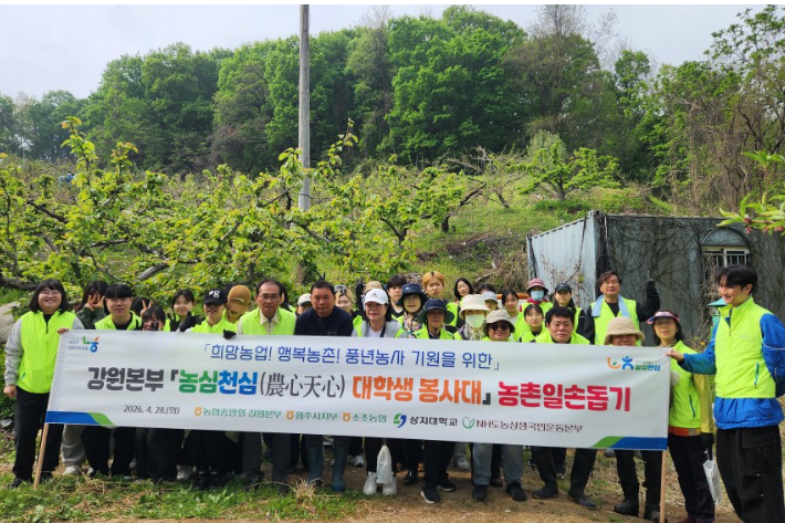 농협중앙회 강원본부는 28일 범농협 농심천심운동의 일환으로 농협 원주시지부와 소초면 소재 소초농협 조합원 농가를 찾아 영농지원 활동을 실시했다. 강원농협 제공