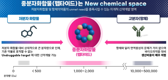 고리형 펩타이드 디자인 요약. 포항시 제공