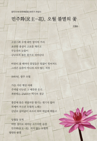 광주 동구 제공