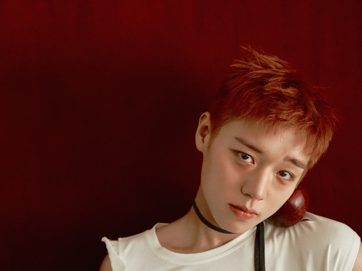 가수 겸 배우 박지훈이 29일 저녁 6시 첫 싱글 '리플렉트'를 발매한다. YY엔터테인먼트 제공