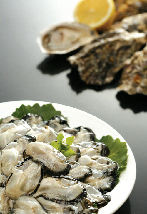 굴. 경남도청 제공 