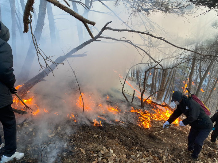 지난해 영덕에서 발생한 산불. 자료사진