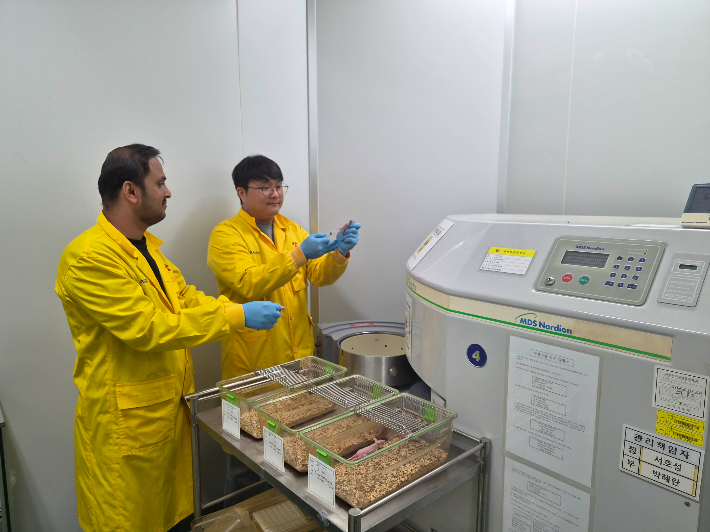 헤스페리딘 효능의 평가 실험 중인 연구진. 원자력연 제공