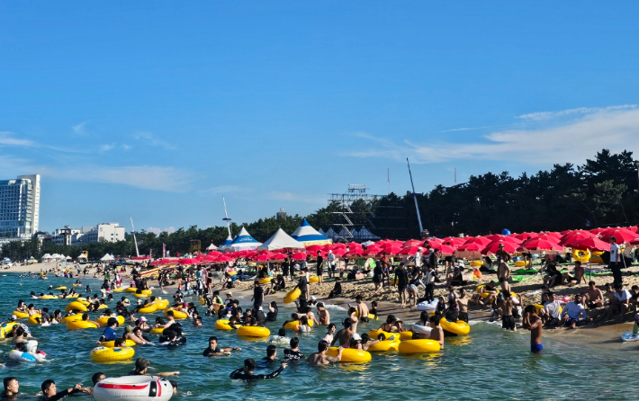 강릉 경포해수욕장을 찾은 피서객들이 물놀이를 즐기고 있는 모습. 강릉시 제공 