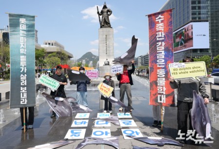 환경운동연합 바다위원회 관계자들이 30일 서울 종로구 광화문 광장에서 전국 수족관 돌고래 자연 복귀를 촉구하는 기자회견을 하고 있다.