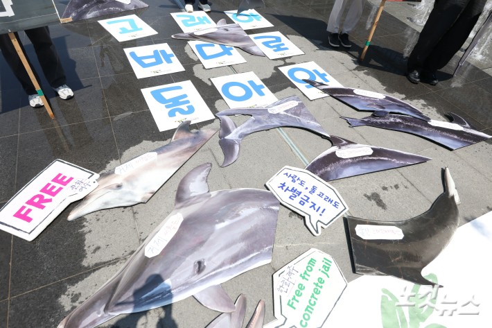 환경운동연합 바다위원회 관계자들이 30일 서울 종로구 광화문 광장에서 전국 수족관 돌고래 자연 복귀를 촉구하는 기자회견을 하고 있다.