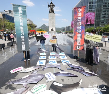 환경운동연합 바다위원회 관계자들이 30일 서울 종로구 광화문 광장에서 전국 수족관 돌고래 자연 복귀를 촉구하는 기자회견을 하고 있다.