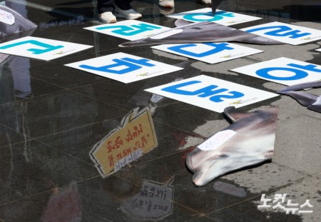 환경운동연합 바다위원회 관계자들이 30일 서울 종로구 광화문 광장에서 전국 수족관 돌고래 자연 복귀를 촉구하는 기자회견을 하고 있다.