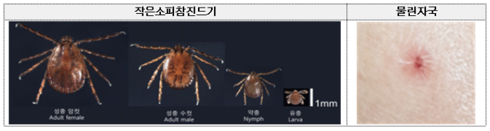 대구시 제공