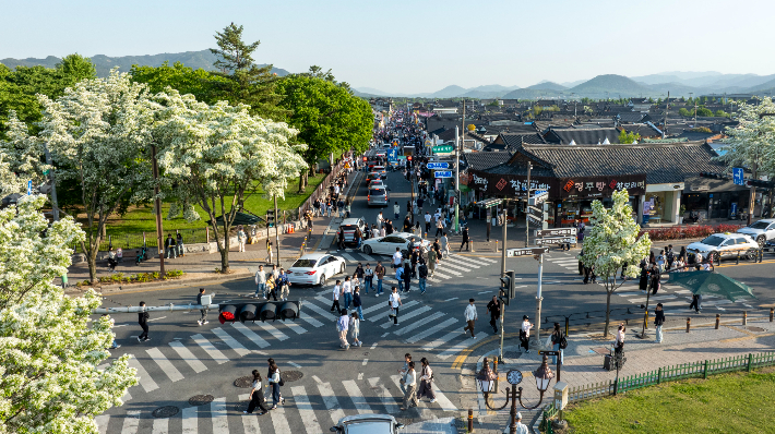 이팝나무가 절정을 맞은 경주 황리단길 일대에 관광객들이 몰리며 거리가 붐비고 있다. 경주시 제공