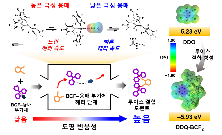 용매의 극성에 따른 루이스 페어 도펀트의 형성 메커니즘. 한국연구재단 제공