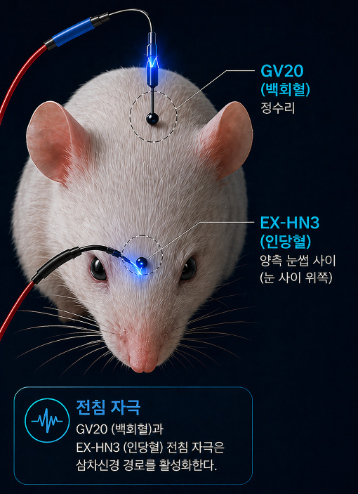 한의학연 제공