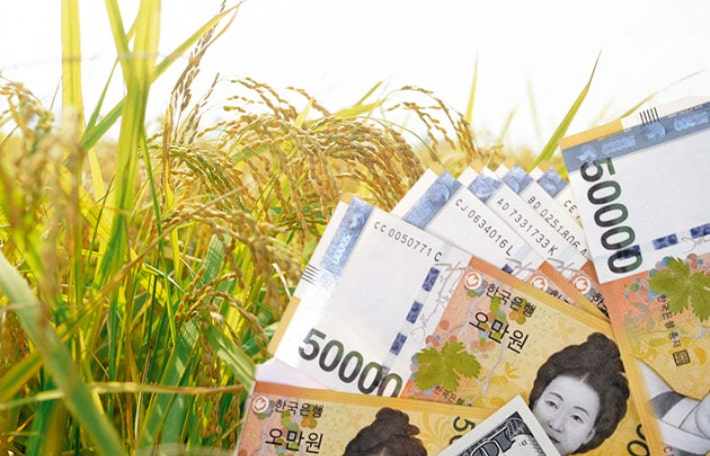 스마트이미지 제공