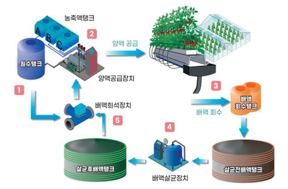 순환식 수경재배기술. 농촌진흥청 제공